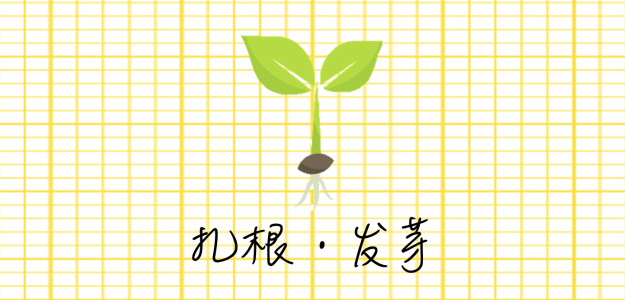 扎根·发芽