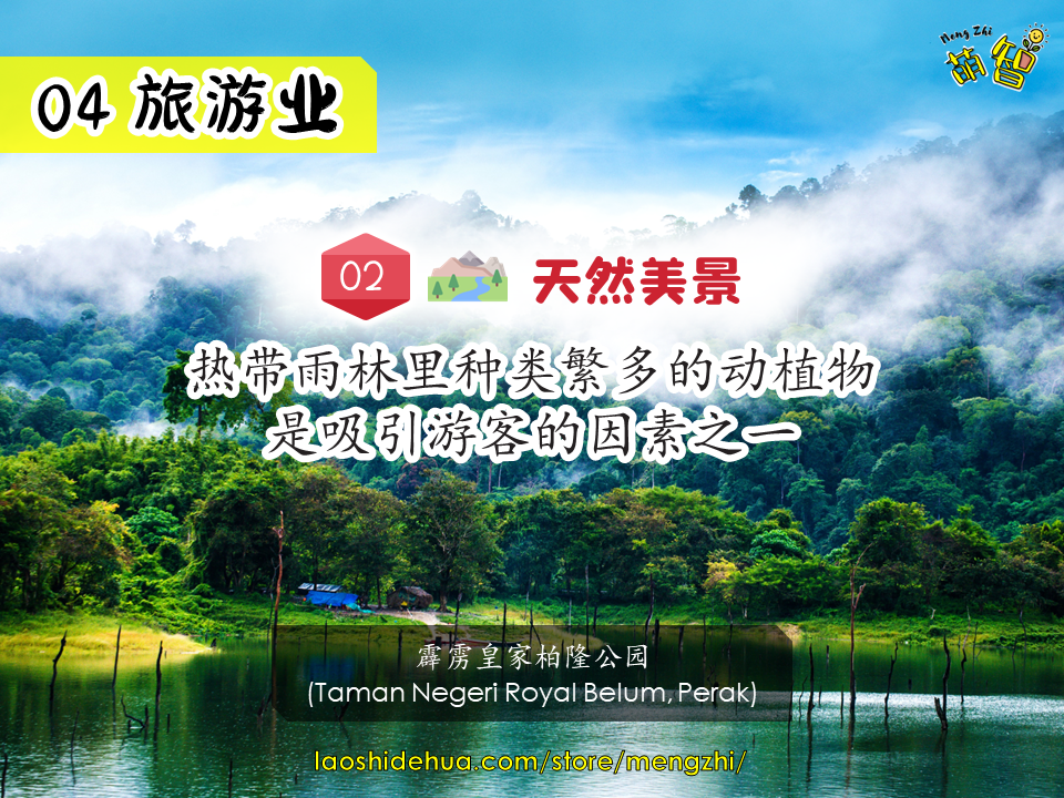 六年级历史PPT·第7课和第8课 - Image 13