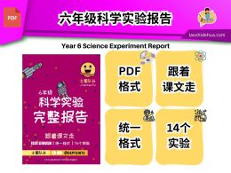 CT06【六年级】科学实验报告（跟着课文走）Year 6 Science Experiment Report
