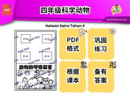 [四年级科学] 动物