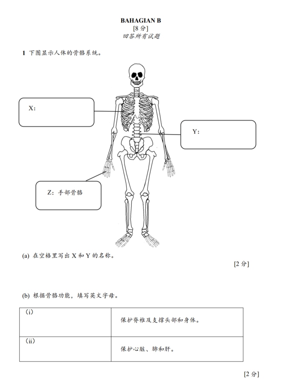 2024年全新版UASA期末试卷 |5年级 - Image 7