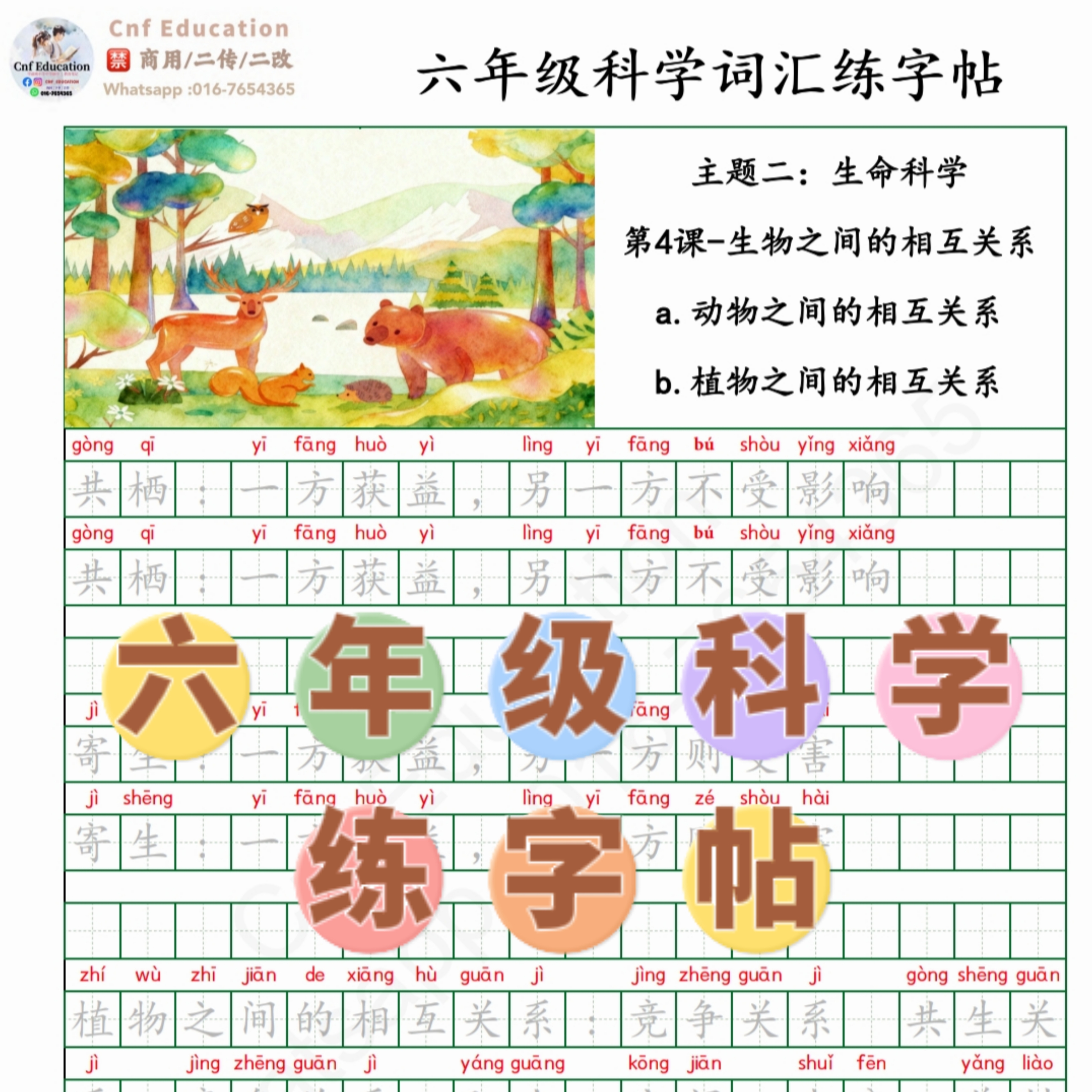 FL016 - 6 年级科学词汇练字帖 - Image 2