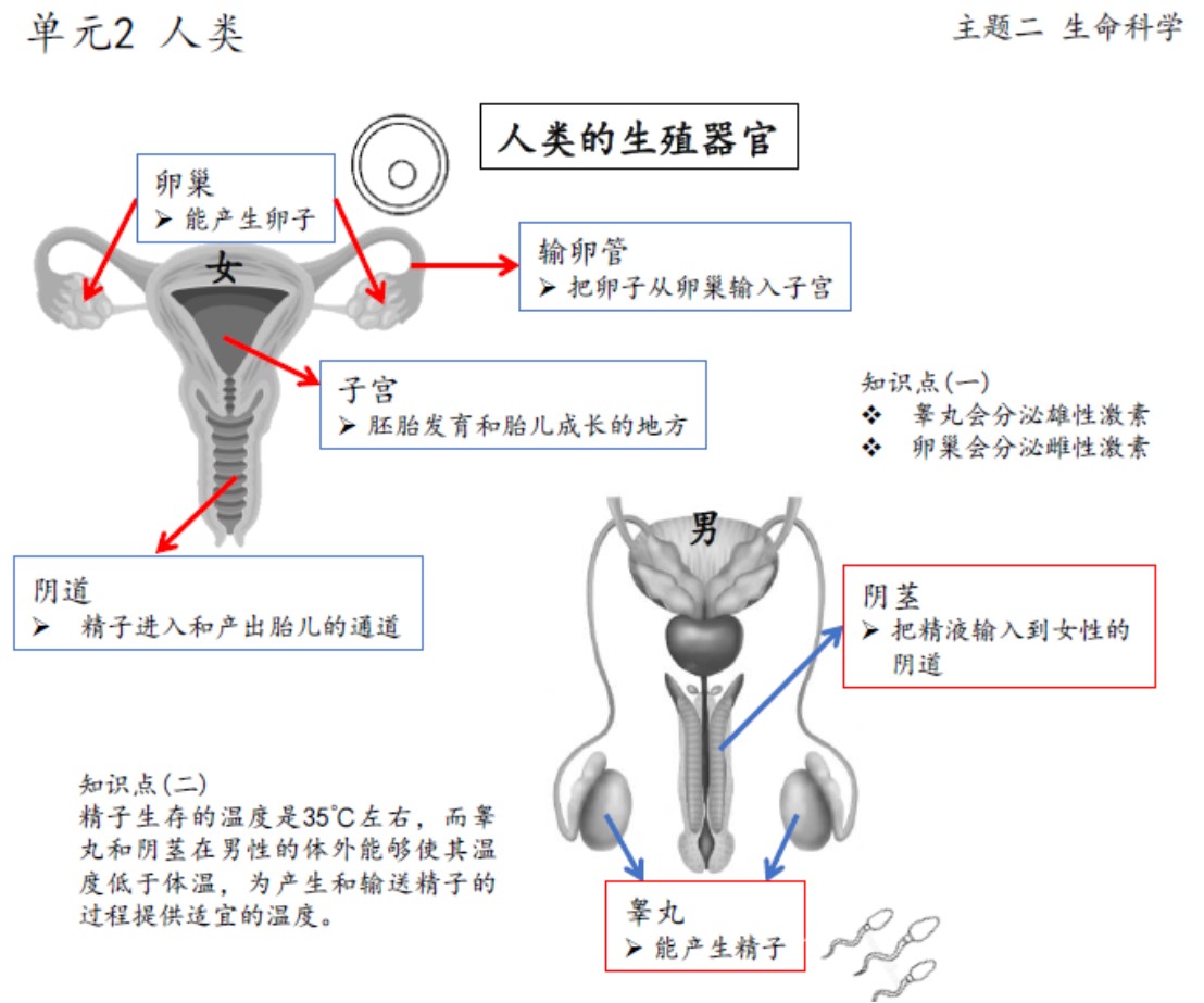 六年级 科学 根据课文 (练习考题) : 笔记,练习 - Image 3