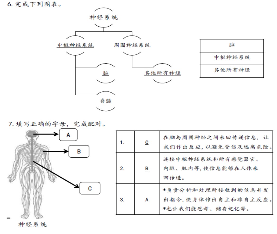 六年级 科学 根据课文 (练习考题) : 笔记,练习 - Image 4