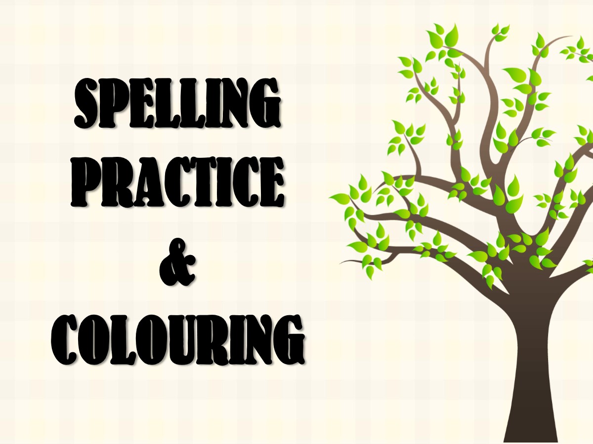 💥V 51💥SPELLING PRACTICE💥 - Image 3