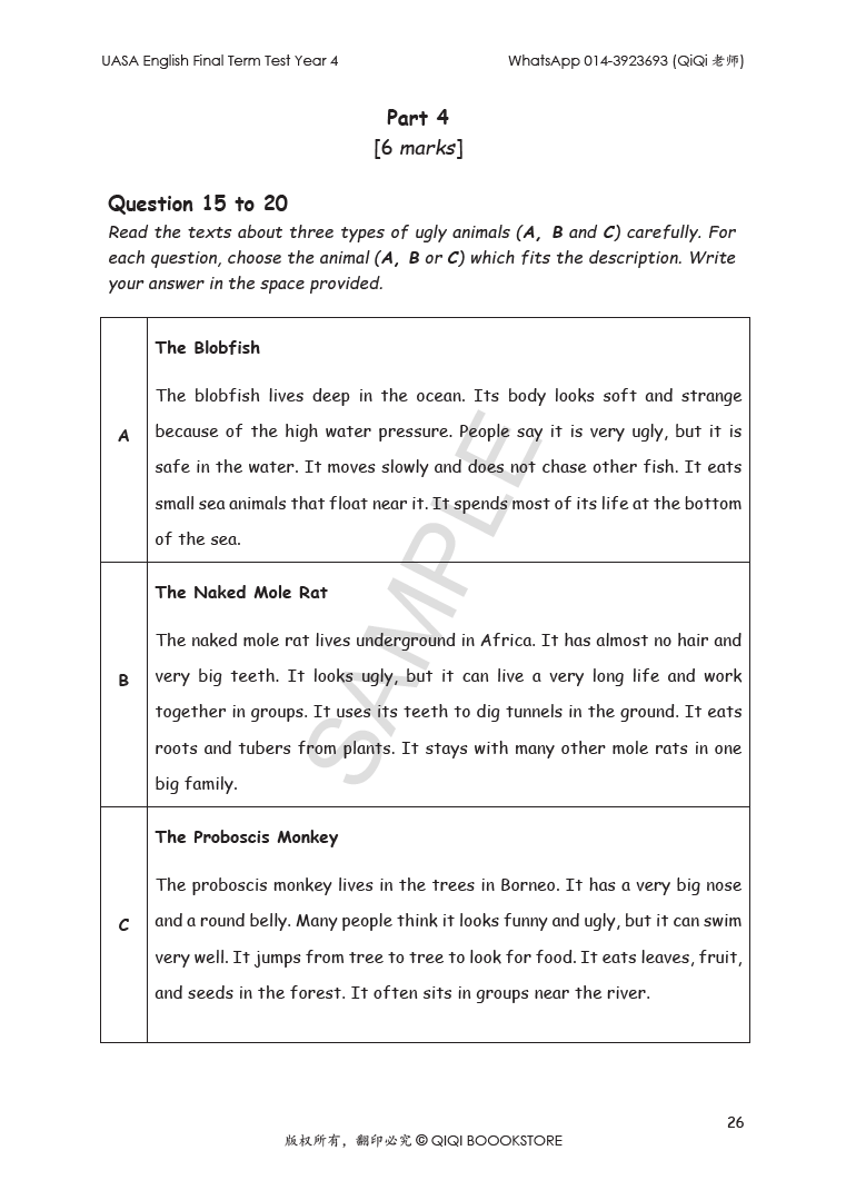 UASA English Final Term Test Year 1/2/3/4/5/6 - Image 30