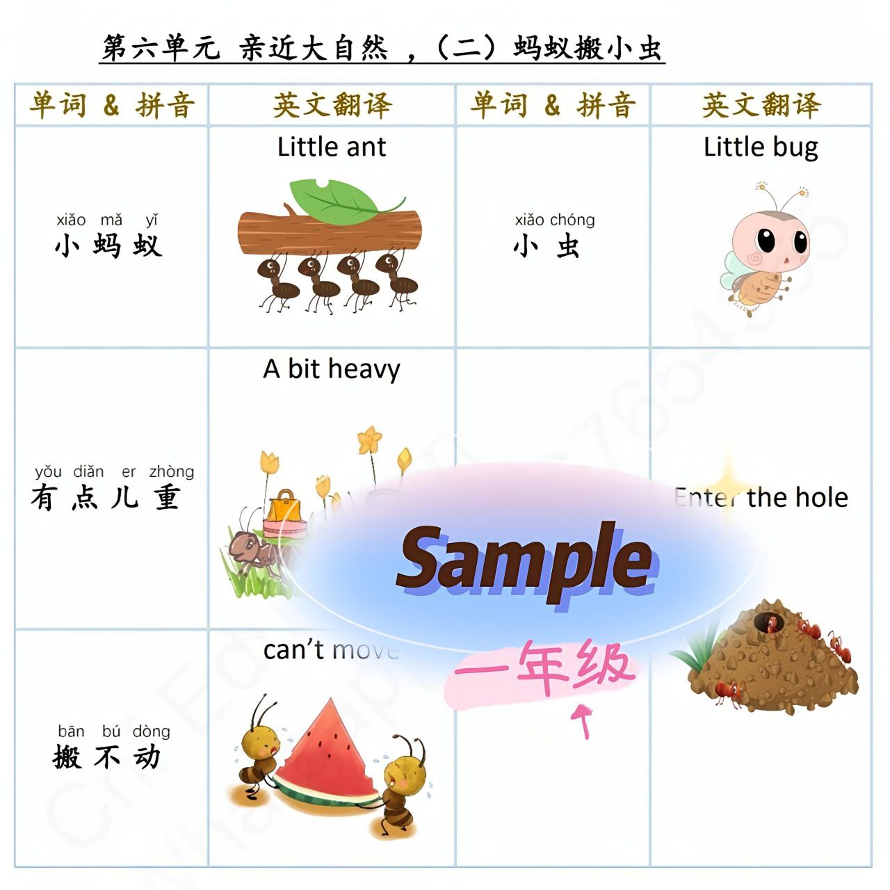 ๐๐๐ฌ๐ฑ๐ฎ - 1 ๅนด็บง ๅๆ่ฏพๆฌ่ฎค่ฏปๅ่ฏ - Image 4