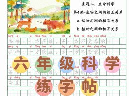 FL016 - 6 年级科学词汇练字帖