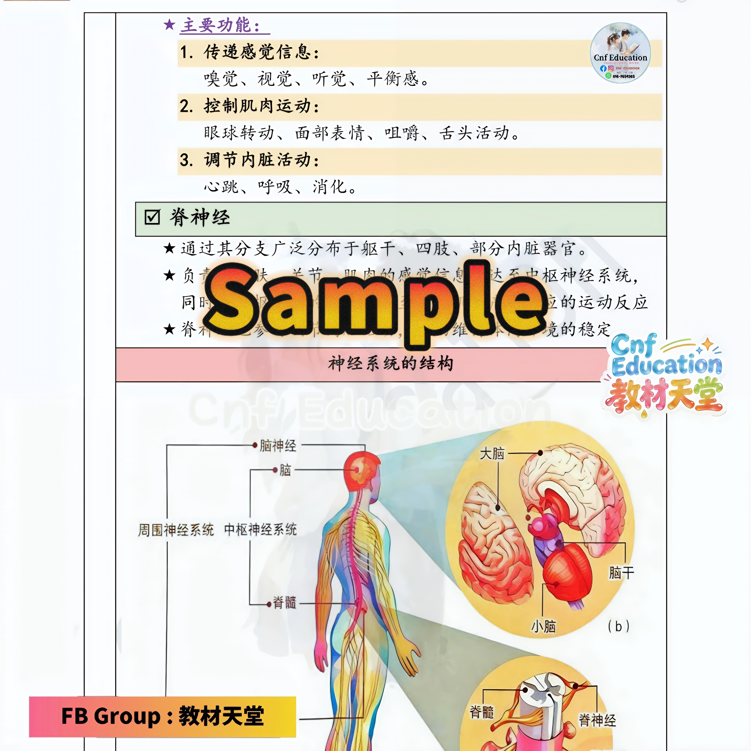 统考初二 科学笔记❁同步课本 - Image 5