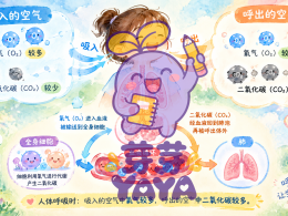[科学] 4年级科学笔记