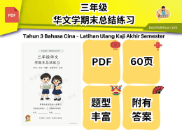 六日老师-华文学期末总结练习-三年级